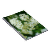 Wilde weiße Rose Blume Natur Notizblock (Rechte Seite)