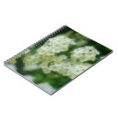 Wilde weiße Rose Blume Natur Notizblock (Linke Seite)