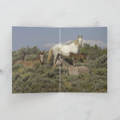 Wilde Wilde Pferde Grußkarte Karte (Innenseite)