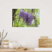 Wilde Wisteria Trio im Waldposter Poster (Küche)