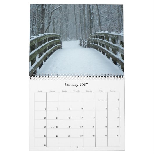 Wilde Wunder 2012 Kalender (Jan 2027)