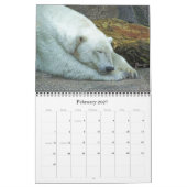 Wilde Wunder 2012 Kalender (Feb 2027)