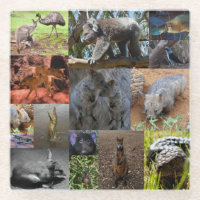 Wilde Wunder: Australische Fotocollage fesseln