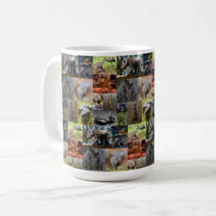 Wilde Wunder: Australische Fotocollage fesseln Kaffeetasse