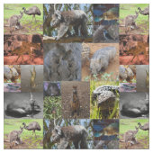 Wilde Wunder: Australische Fotocollage fesseln Stoff (Nahaufnahme)