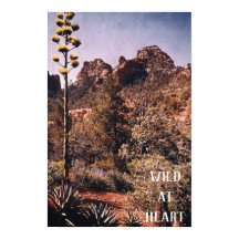 Wilde Wüstenkaktus erkunden Natur und Wildnis