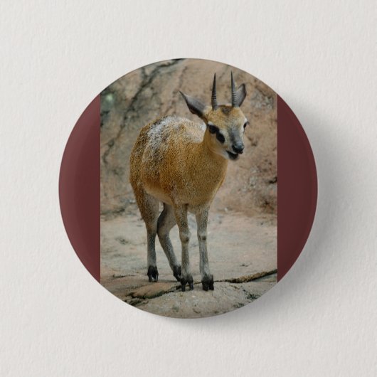 Wilde Ziegen Button (Vorderseite)