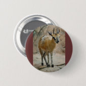 Wilde Ziegen Button (Vorne & Hinten)