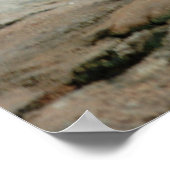 Wilde Ziegen Poster (Ecke)