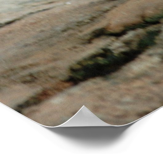 Wilde Ziegen Poster (Ecke)