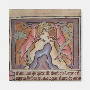 Wilde Ziegen Roy von einem Bestiary Magnet