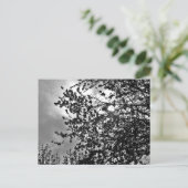 Wilde Zweige Postkarte (Stehend Vorderseite)