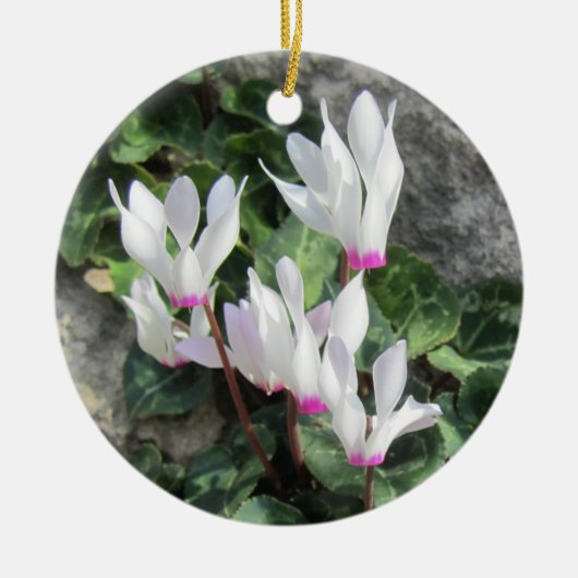 Wilde Zyklamen Keramik Ornament (Vorne)