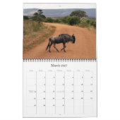 Wildebeest 2015 kalender (Mär 2027)