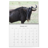 Wildebeest 2015 kalender (Jan 2027)