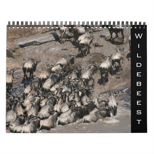 wildebeest 2026 kalender (Titelbild)