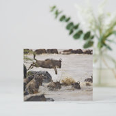 Wildebeest, der während der Zeit in den Mara River Postkarte (Stehend Vorderseite)