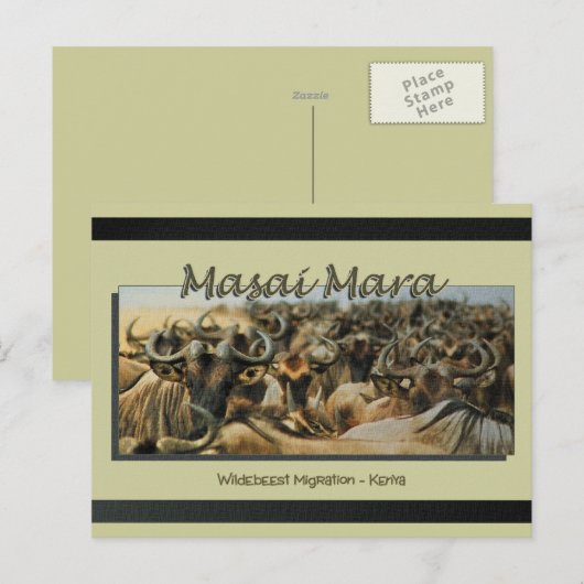 Wildebeest/Gnu-Migration, Safari-Postkarten Postkarte (Vorne/Hinten)
