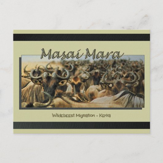 Wildebeest/Gnu-Migration, Safari-Postkarten Postkarte (Vorderseite)