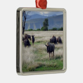 Wildebeest herd silbernes ornament (Rechts)