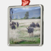 Wildebeest herd silbernes ornament (Links)