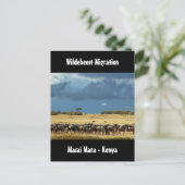 Wildebeest Migration Masai Mara Kenya Postkarte (Stehend Vorderseite)