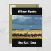 Wildebeest Migration Masai Mara Kenya Postkarte (Vorne/Hinten)
