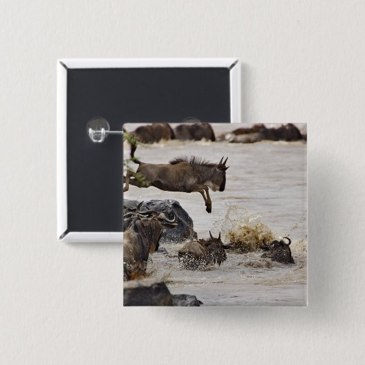 Wildebeest springt in den Mara River Button (Vorne & Hinten)