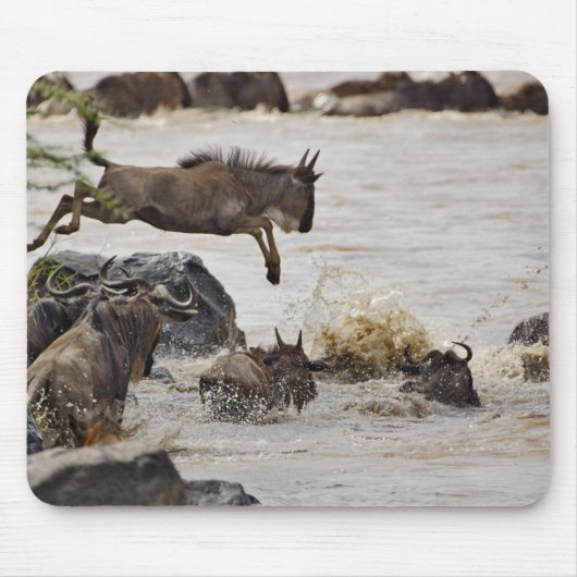 Wildebeest springt in den Mara River Mousepad (Vorne)