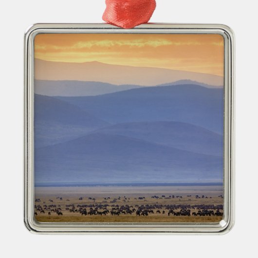 Wildebeest während der Migration, Conerneut aetes Silbernes Ornament (Vorne)