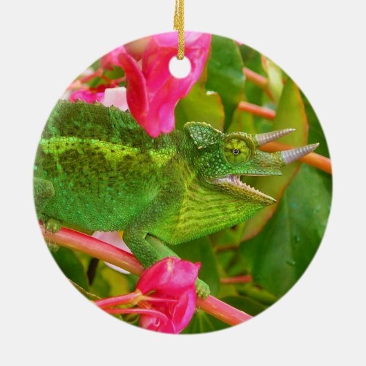 Wilden Jacksons Chamäleon auf Maui-Insel Hawaii Keramikornament (Hinten)