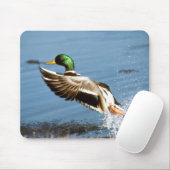 Wildente - Mausunterlage Mousepad (Mit Mouse)