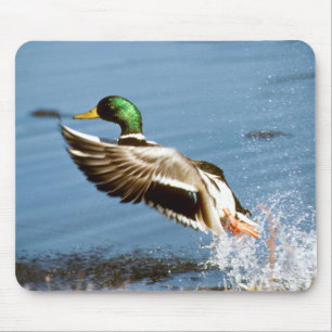 Wildente - Mausunterlage Mousepad