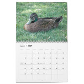 Wildenten Kalender (Mär 2027)