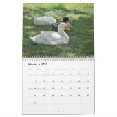 Wildenten Kalender (Feb 2027)