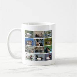 Wildenten von Nordamerika Kaffeetasse