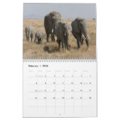 Wilder Afrika-Kalender Kalender (Feb 2026)