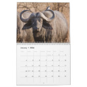 Wilder Afrika-Kalender Kalender (Jan 2026)