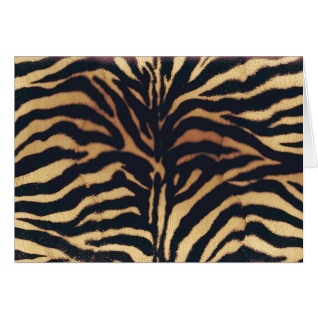 WILDER AFRIKANISCHER IMITATZEBRA (Vorderseite (Horizontal))