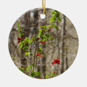 Wilder Azaleenbusch in den Smoky Mountains Keramik Ornament