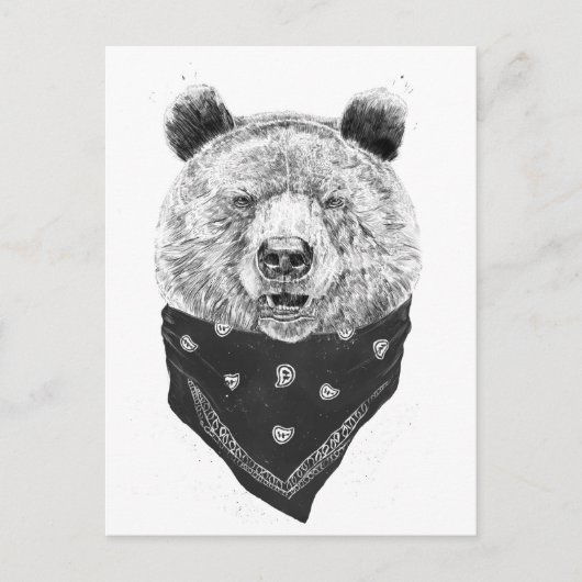 Wilder Bär Postkarte (Vorderseite)