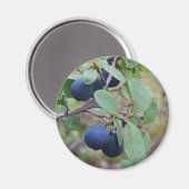Wilder Berries-Magnet Magnet (Vorderseite/Rückseite)