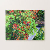 Wilder BlackBerry Patch Puzzle (Horizontal)