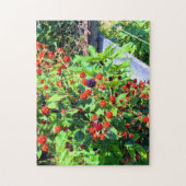 Wilder BlackBerry Patch Puzzle (Vertikal)