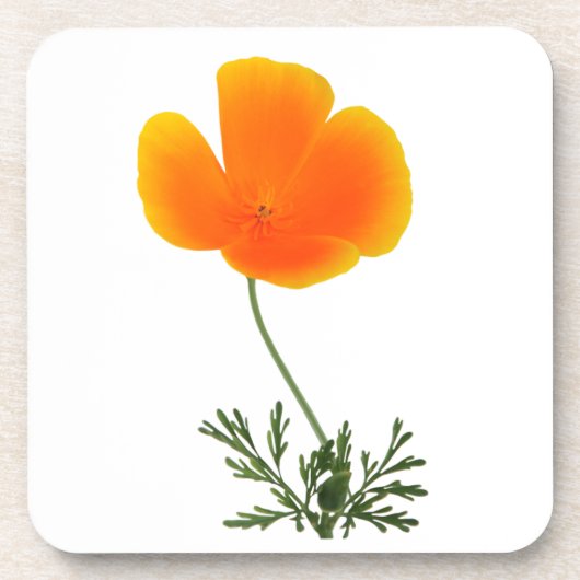 wilder Blumen-Untersetzer Untersetzer (Vorderseite)