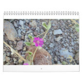 wilder Blumenkalender Kalender (Titelbild)