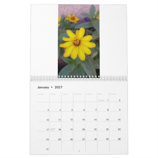 wilder Blumenkalender Kalender (Jan 2027)