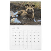 Wilder Botswana! Safari im Okavango Dreieck Kalender (Mär 2026)