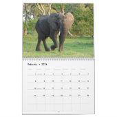 Wilder Botswana! Safari im Okavango Dreieck Kalender (Feb 2026)