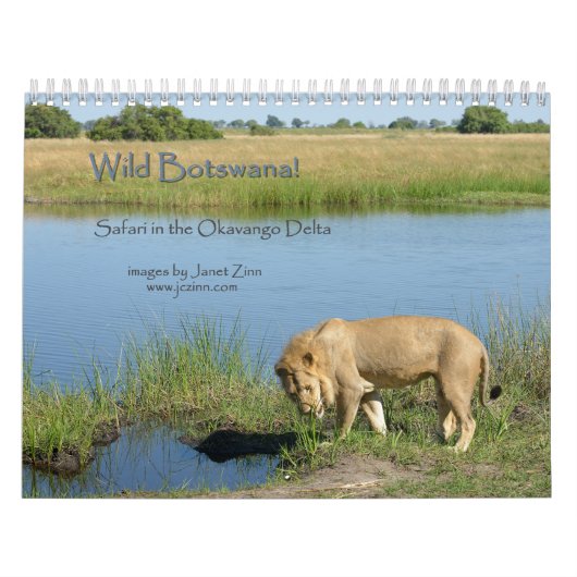 Wilder Botswana! Safari im Okavango Dreieck Kalender (Titelbild)